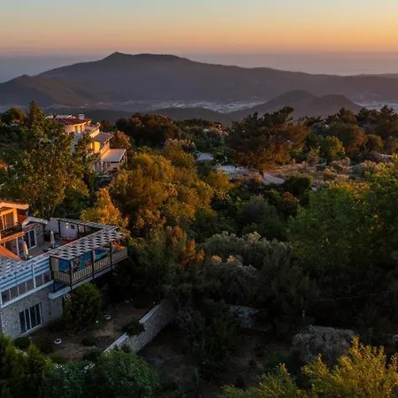 Eco Stella Kalkan