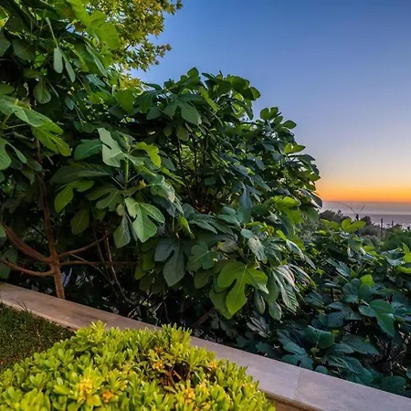 Villa Eco Stella